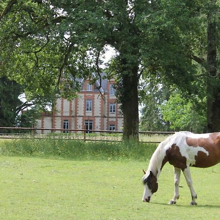 Chateau De Beauchene Chambres D'Hotes Allogny Buitenkant foto